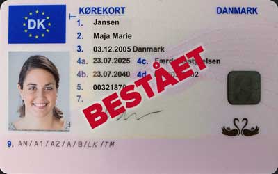 bestå teoriprøven.