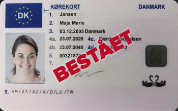 bestå teoriprøven.